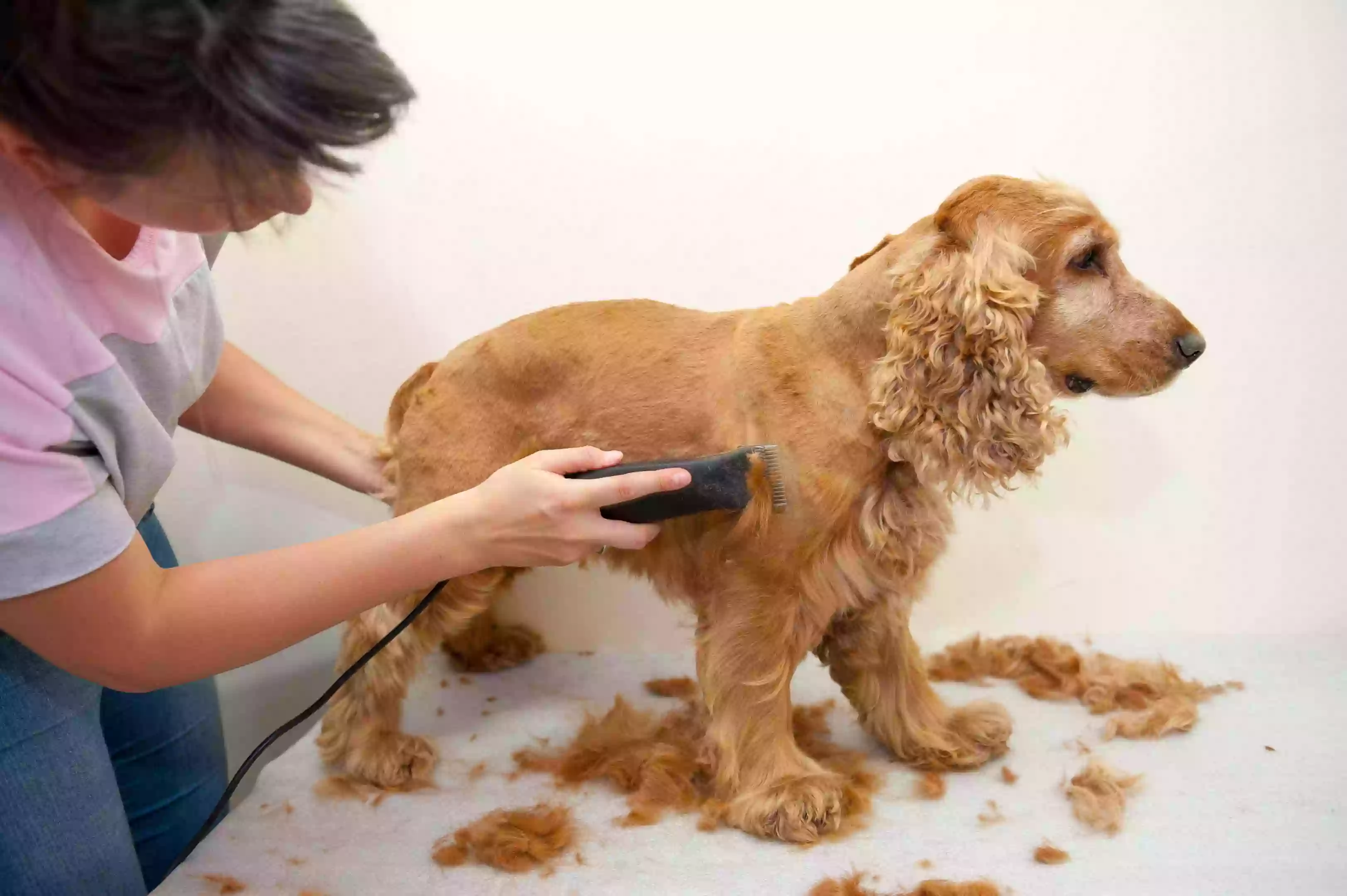 Pawprint Grooming