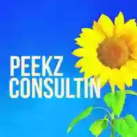 Peekz Consulting