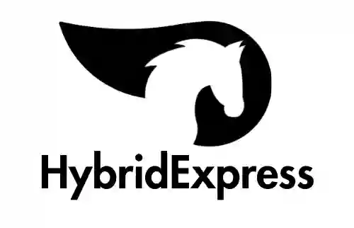 Hybrid Express Logistics