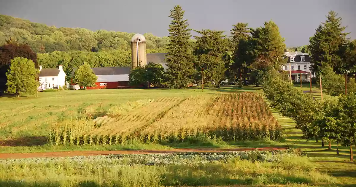 None Such Farm Market