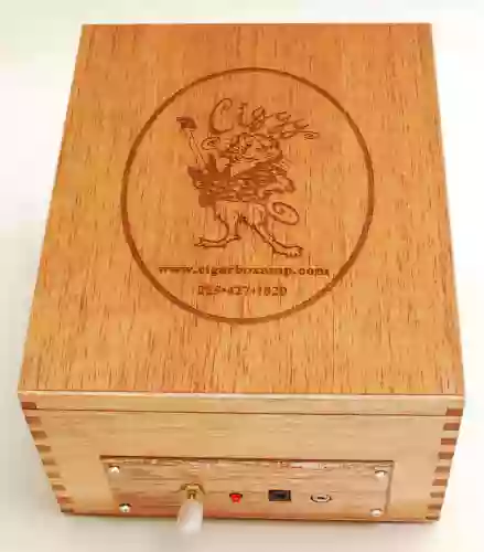 Cigar Box Amps