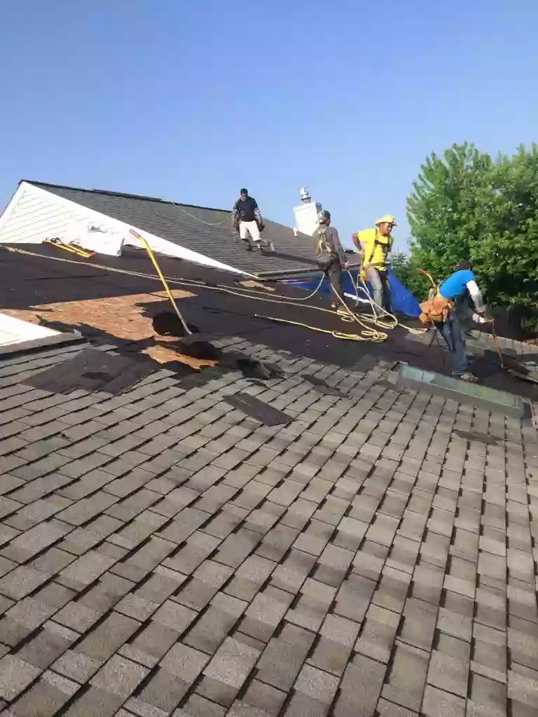 Hammer Noise Roofing