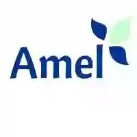 Amel Counseling and Consulting LLC