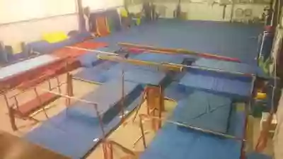 Joel Baba's School of Gymnastics