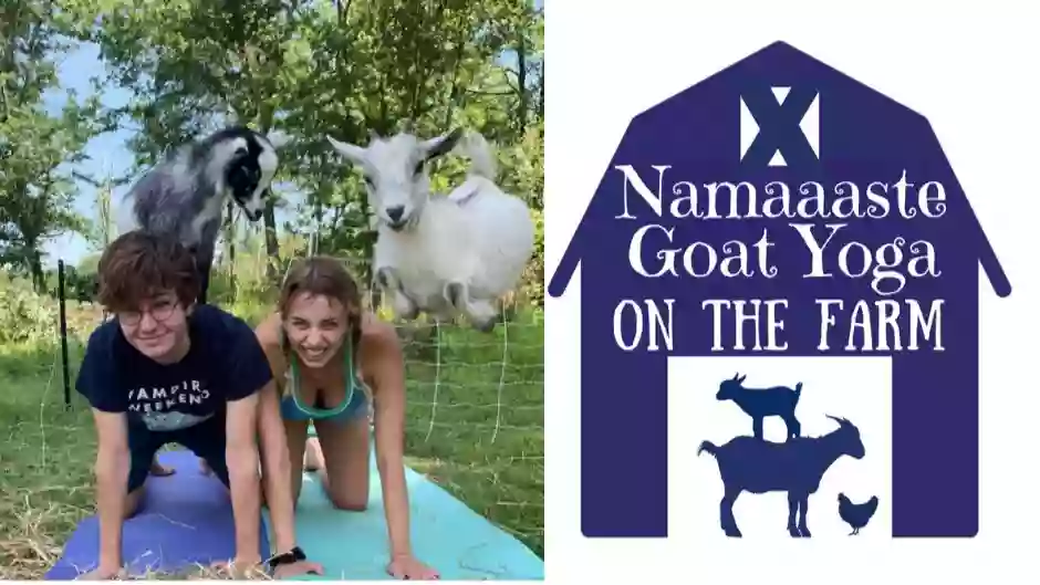 Namaaaste Goat Yoga