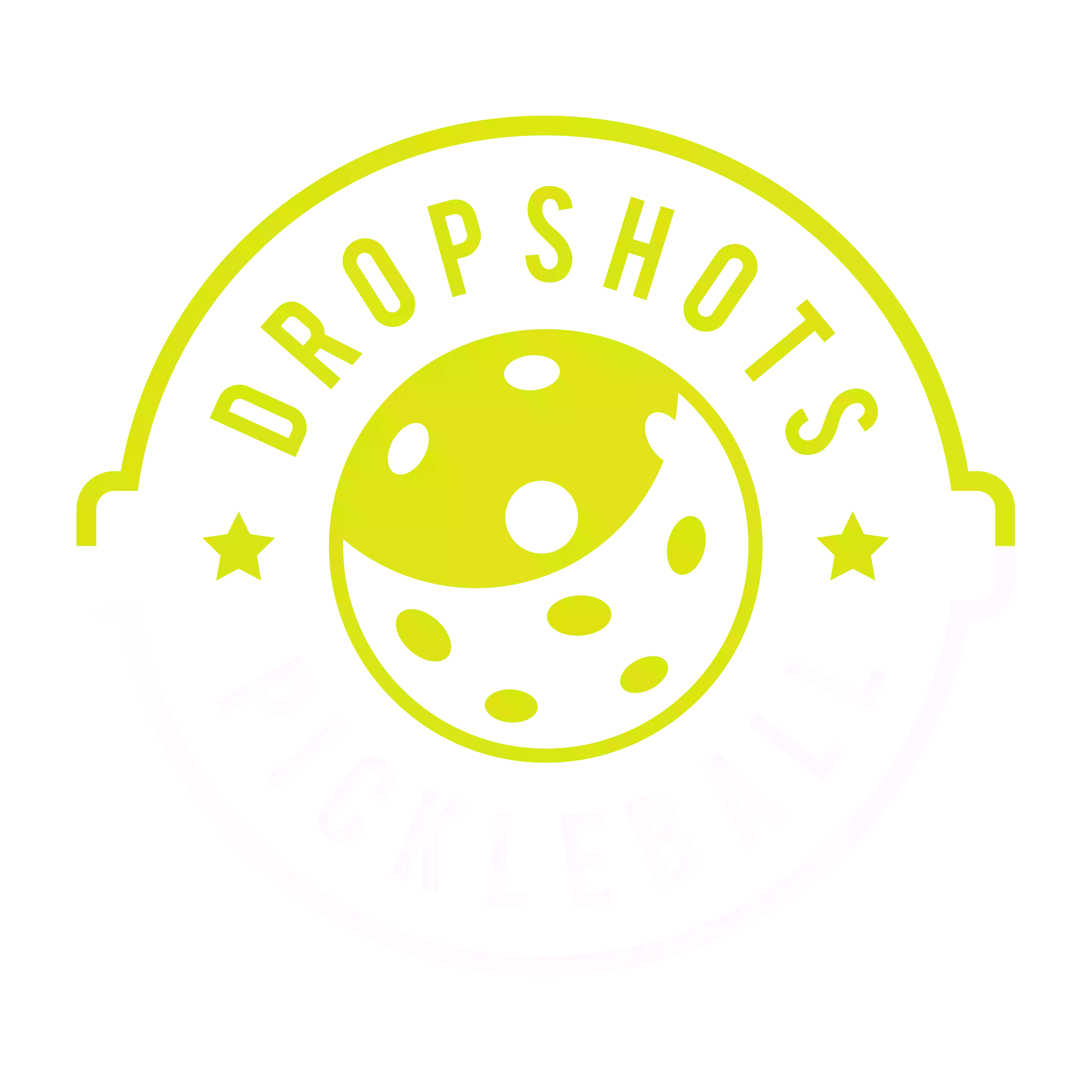 Dropshots Pickleball LLC