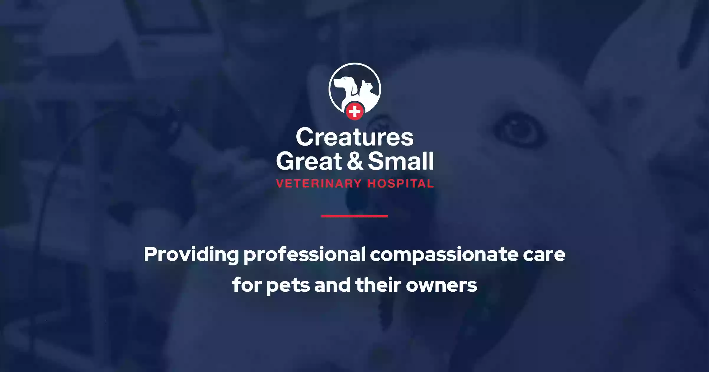 Creatures Great & Small Veterinary