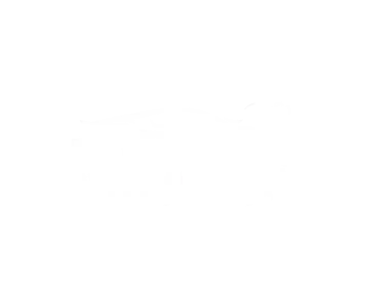 Meyers Auto Group