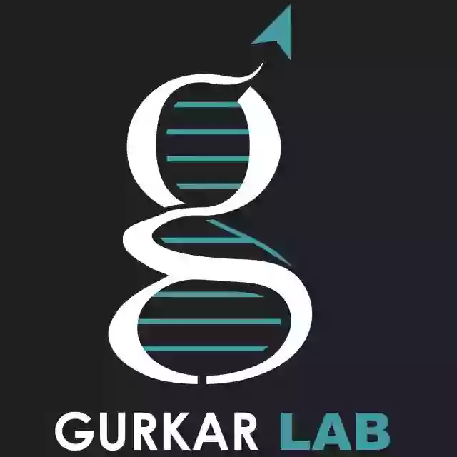 Gurkar Lab