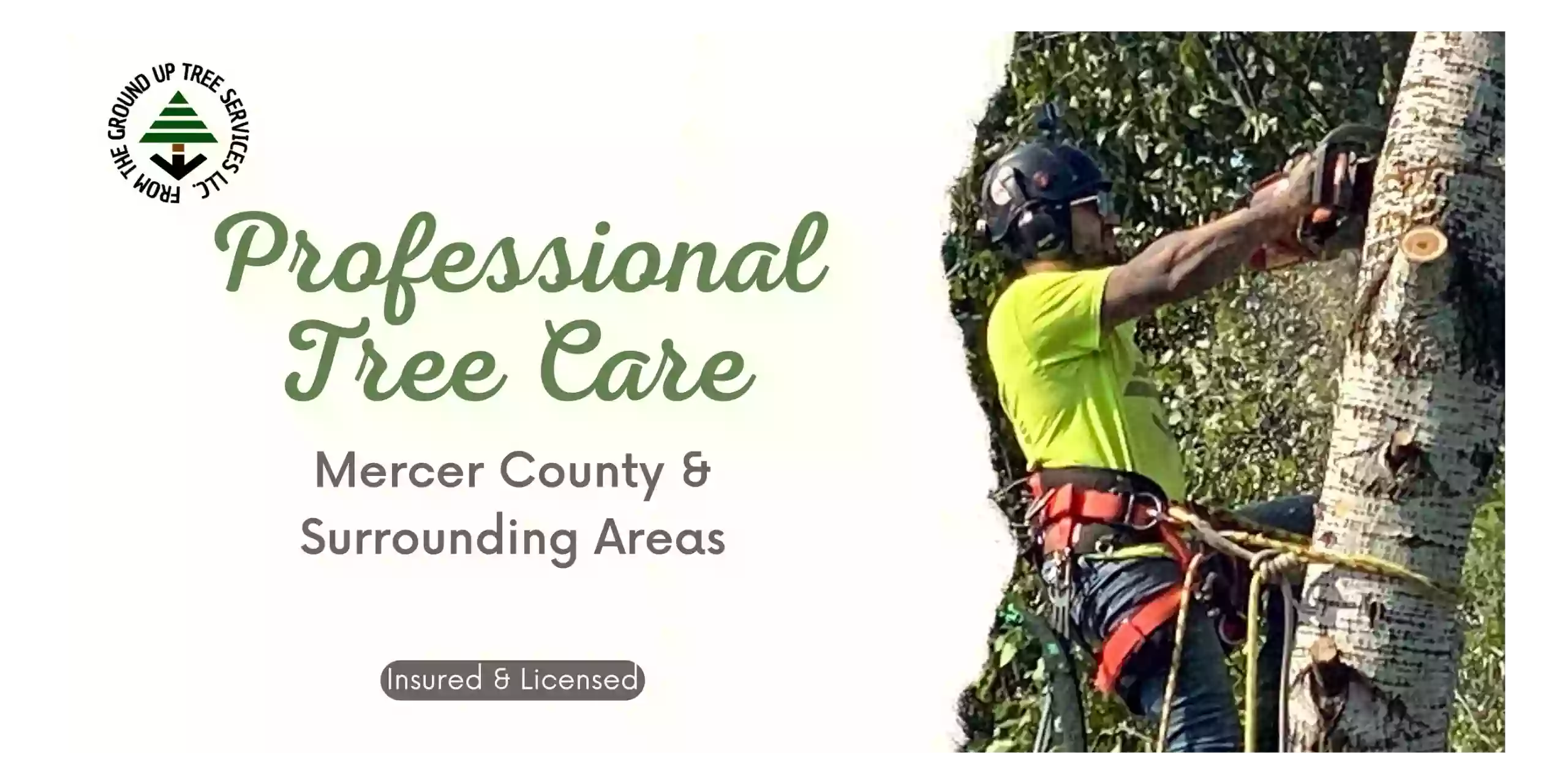 From The Ground Up Tree Services