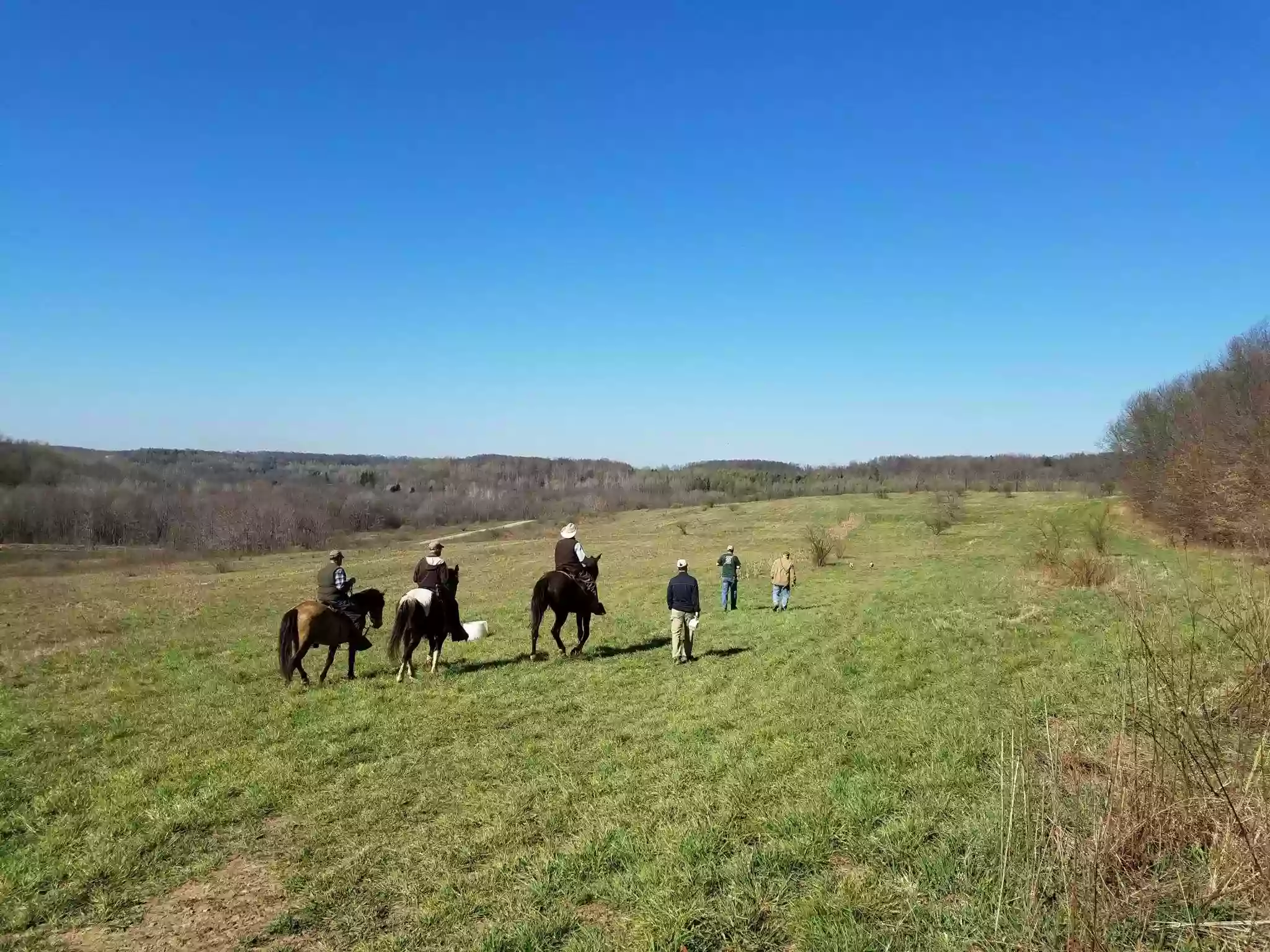 Oak Ridge Pointing Dog Club