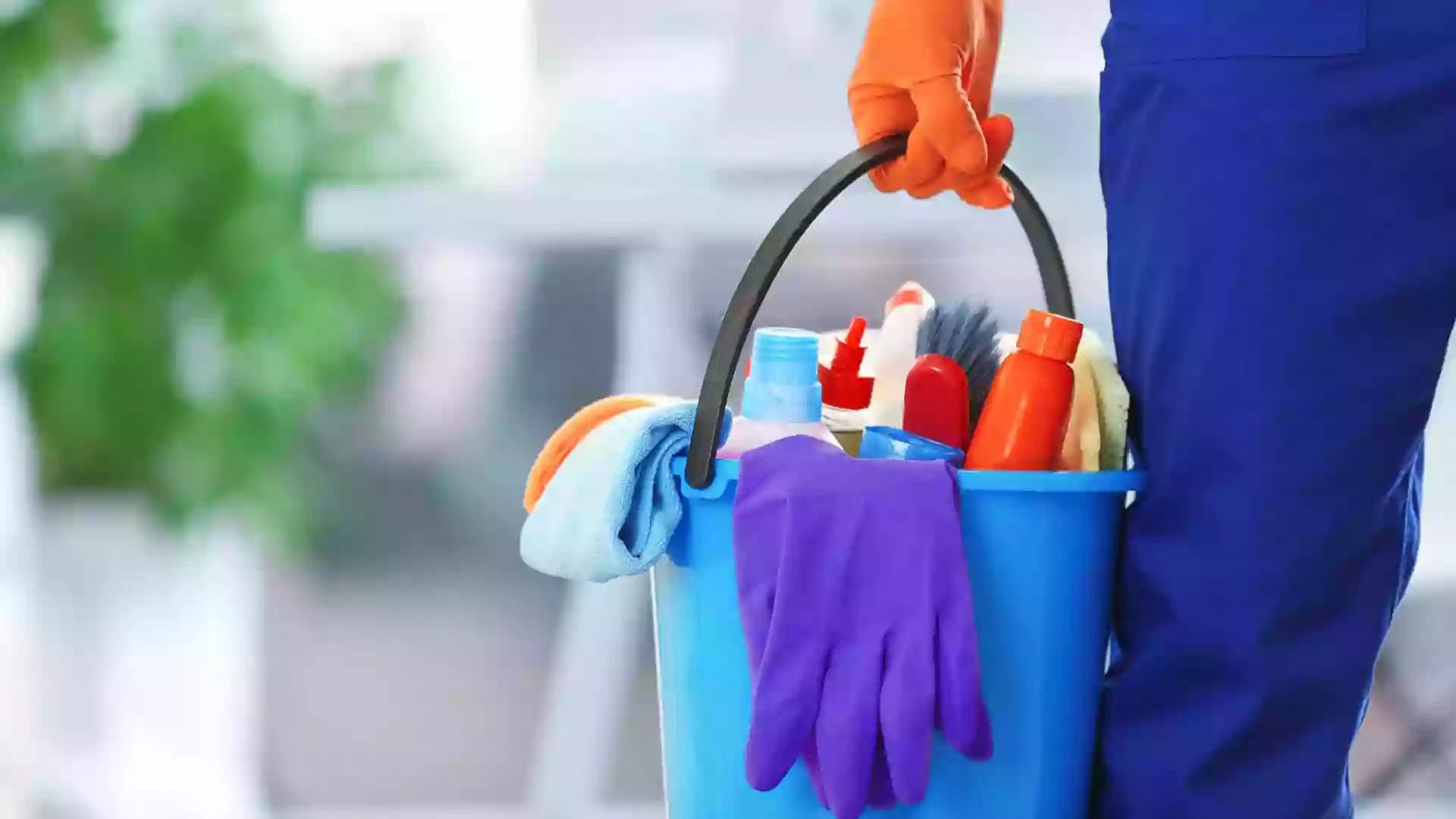 Dirt Doctors Cleaning Services