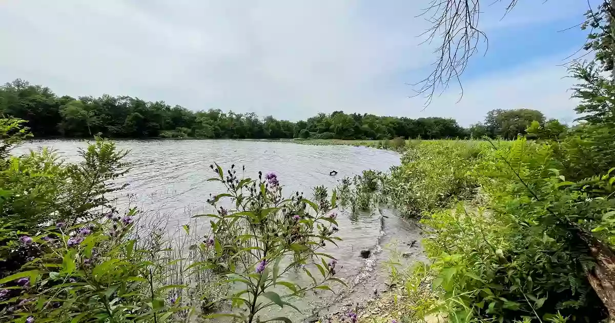 Bristol Marsh Preserve