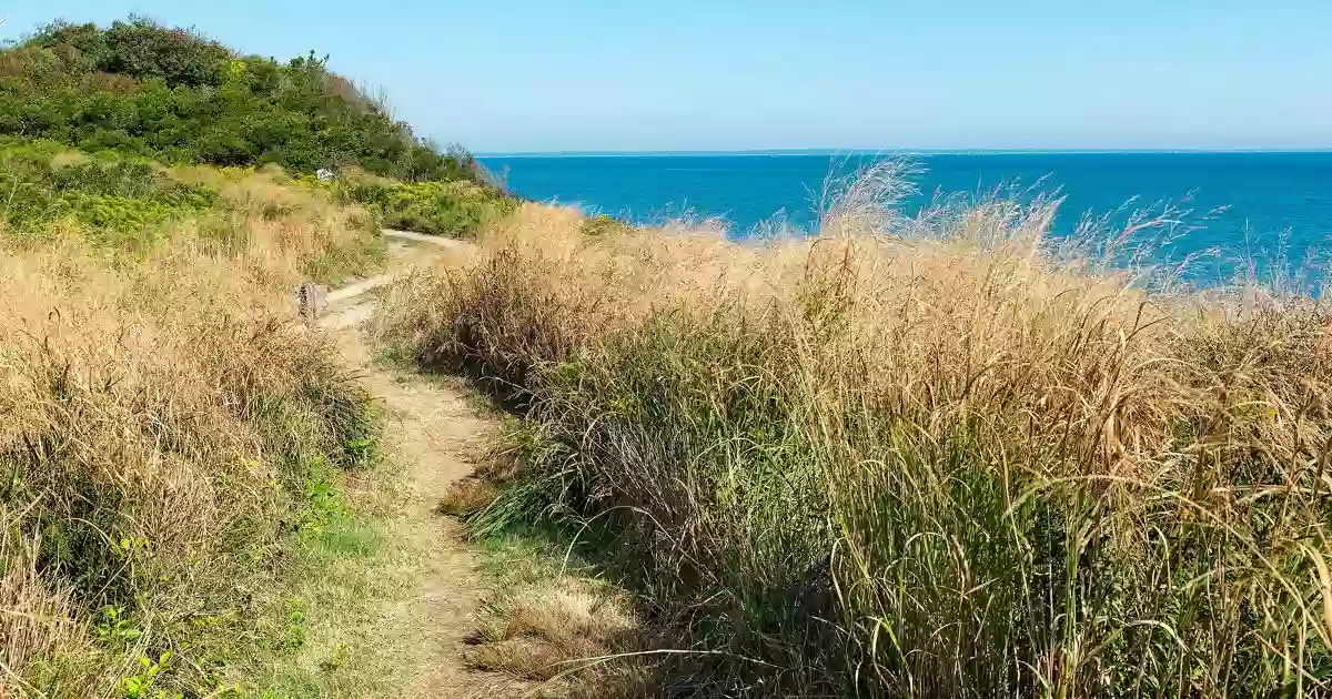 Clay Head Nature Trail