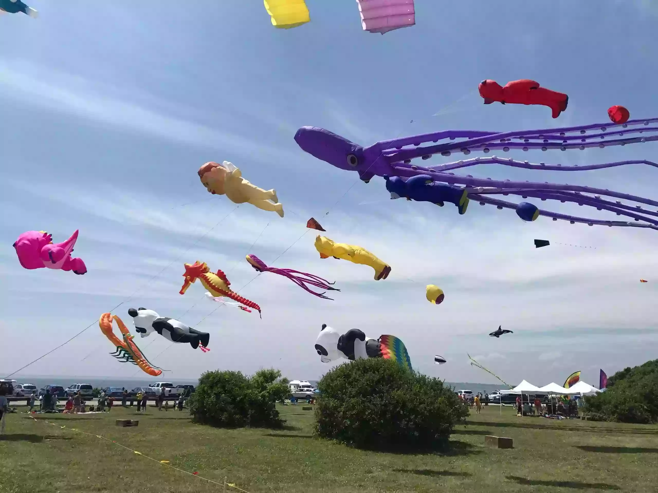 Newport Kite Festival