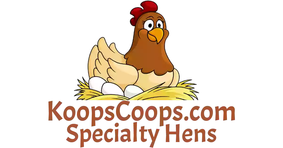 Koops Coops Dealer of Ventura Grain