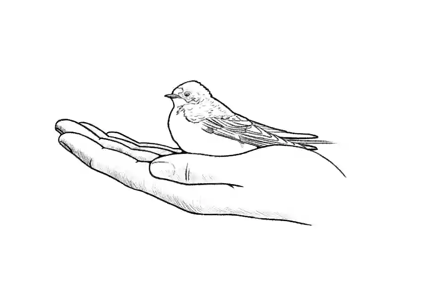 Bird in Hand