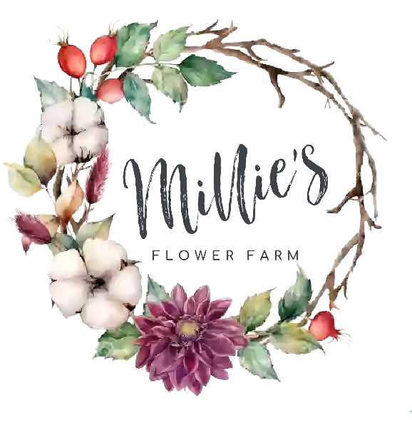 Millie's Flower Farm