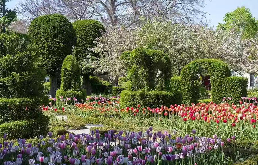 Green Animals Topiary Garden