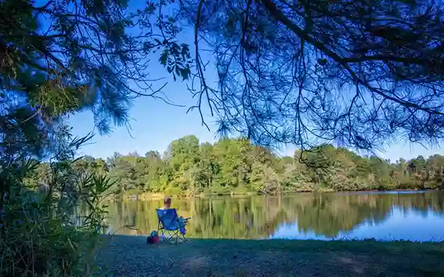 Bass Lake Camp Ground