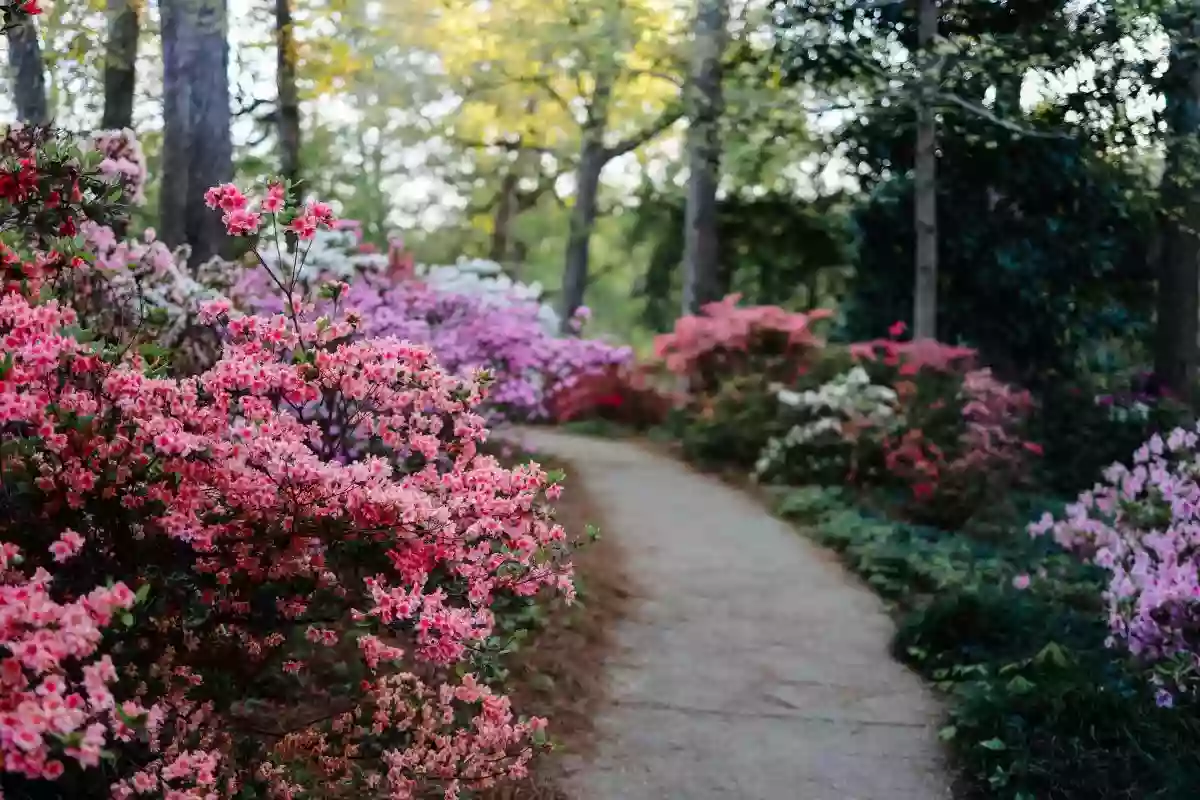 Glencairn Garden