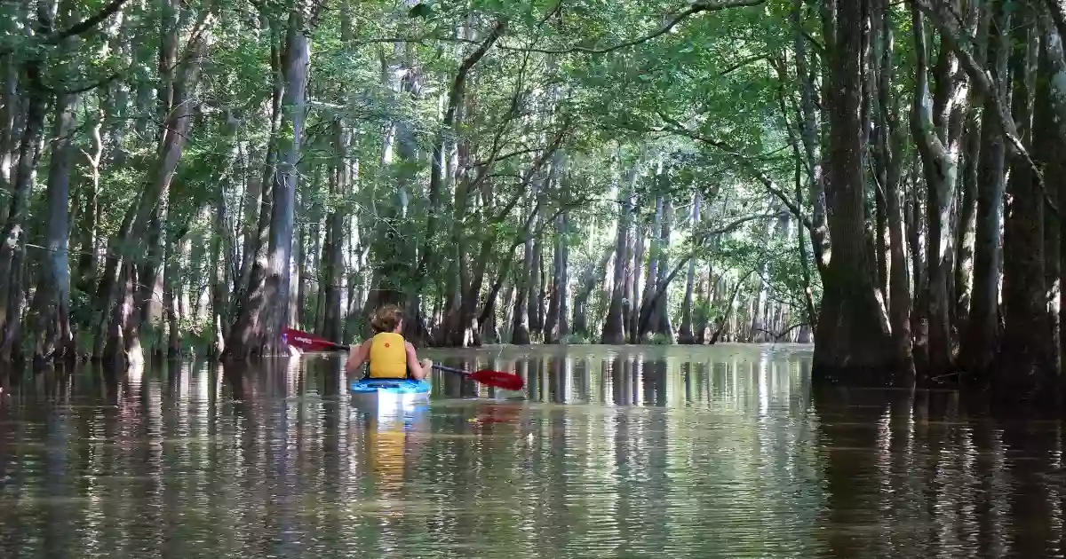 Waccamaw National Wildlife Refuge