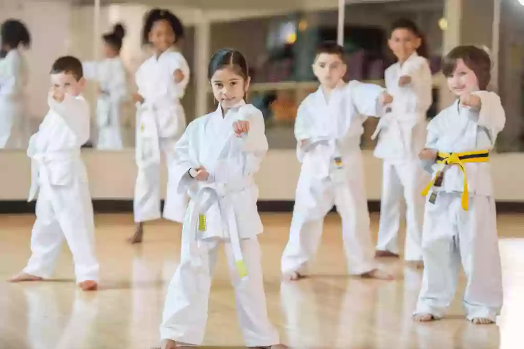 Palmetto Martial Arts School