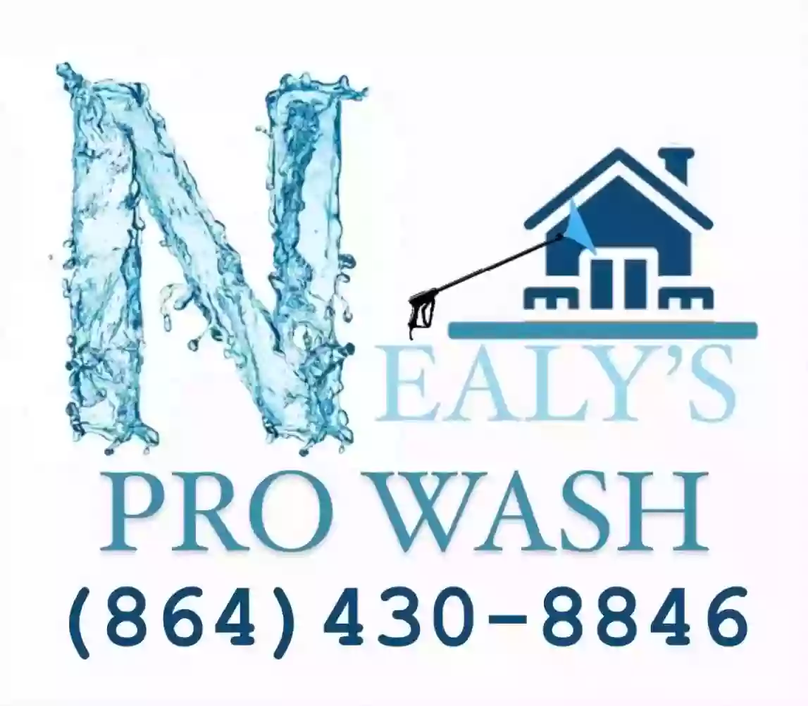 Nealy’s Pro Wash