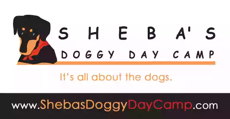 Sheba's Doggy Day Camp