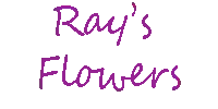 Ray's Flowers