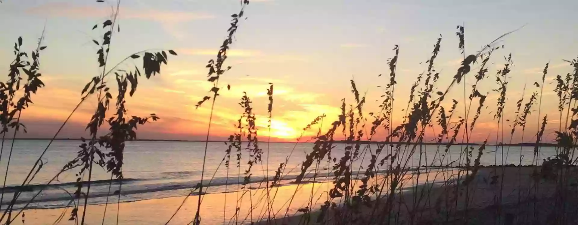 Botany Bay Ecotours