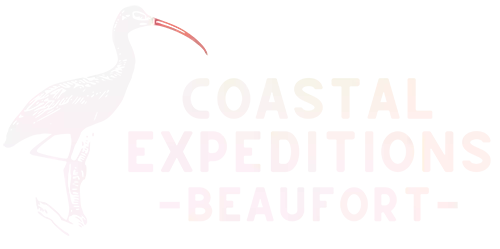 Coastal Expeditions Beaufort