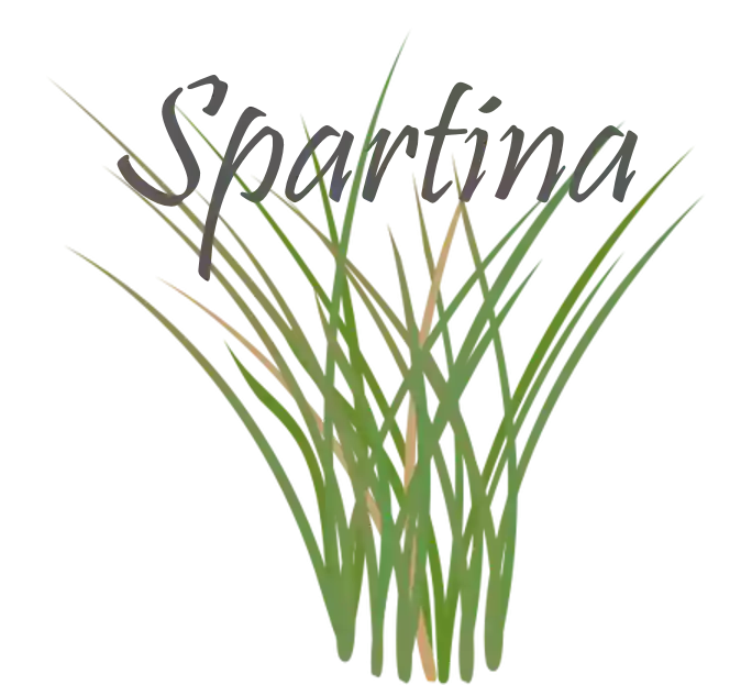 Spartina Marine Education Charters