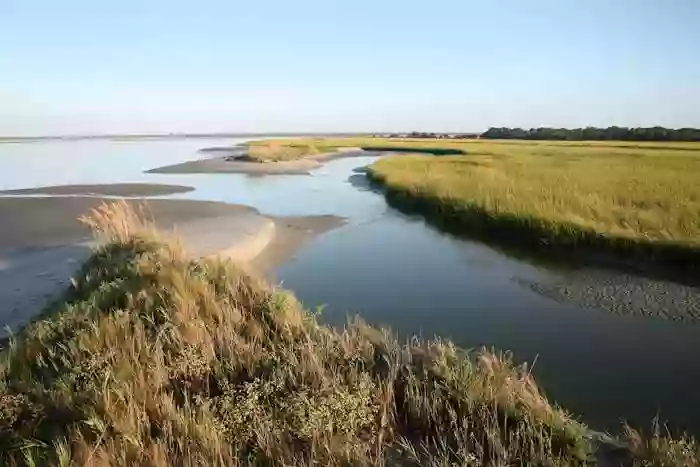 Barrier Island Ecotours