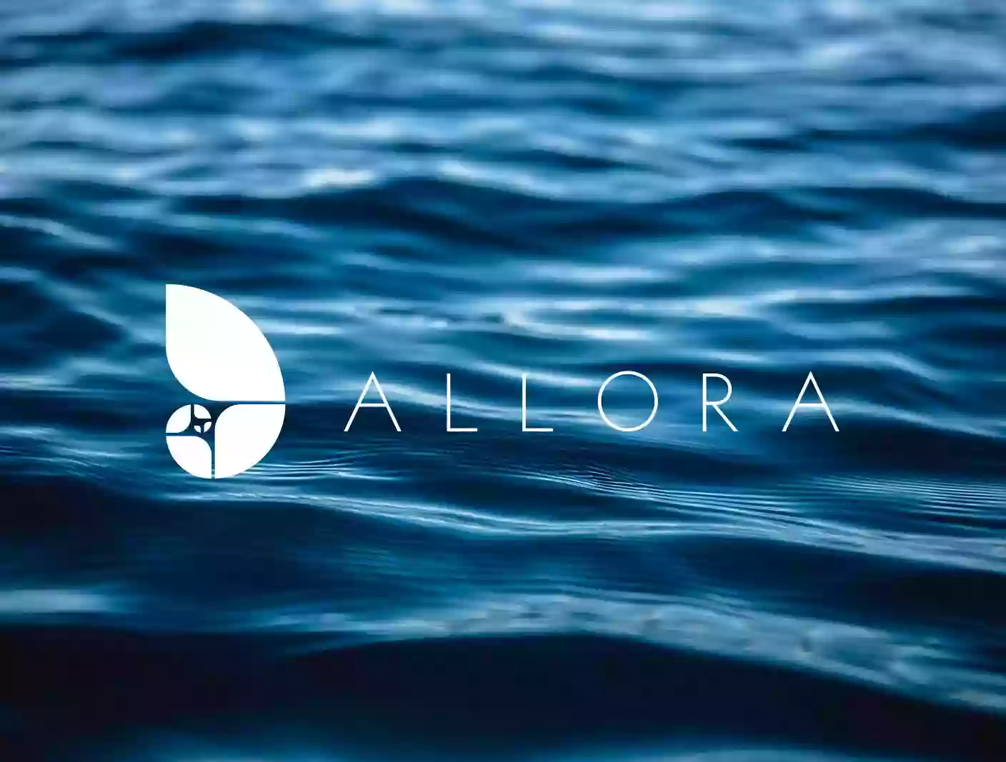 Allora Solutions Group, LLC.