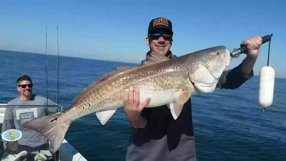 Lowcountry Lazy Charters