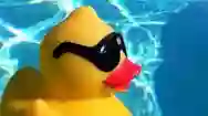 Rubber Ducky "Discount Pools"