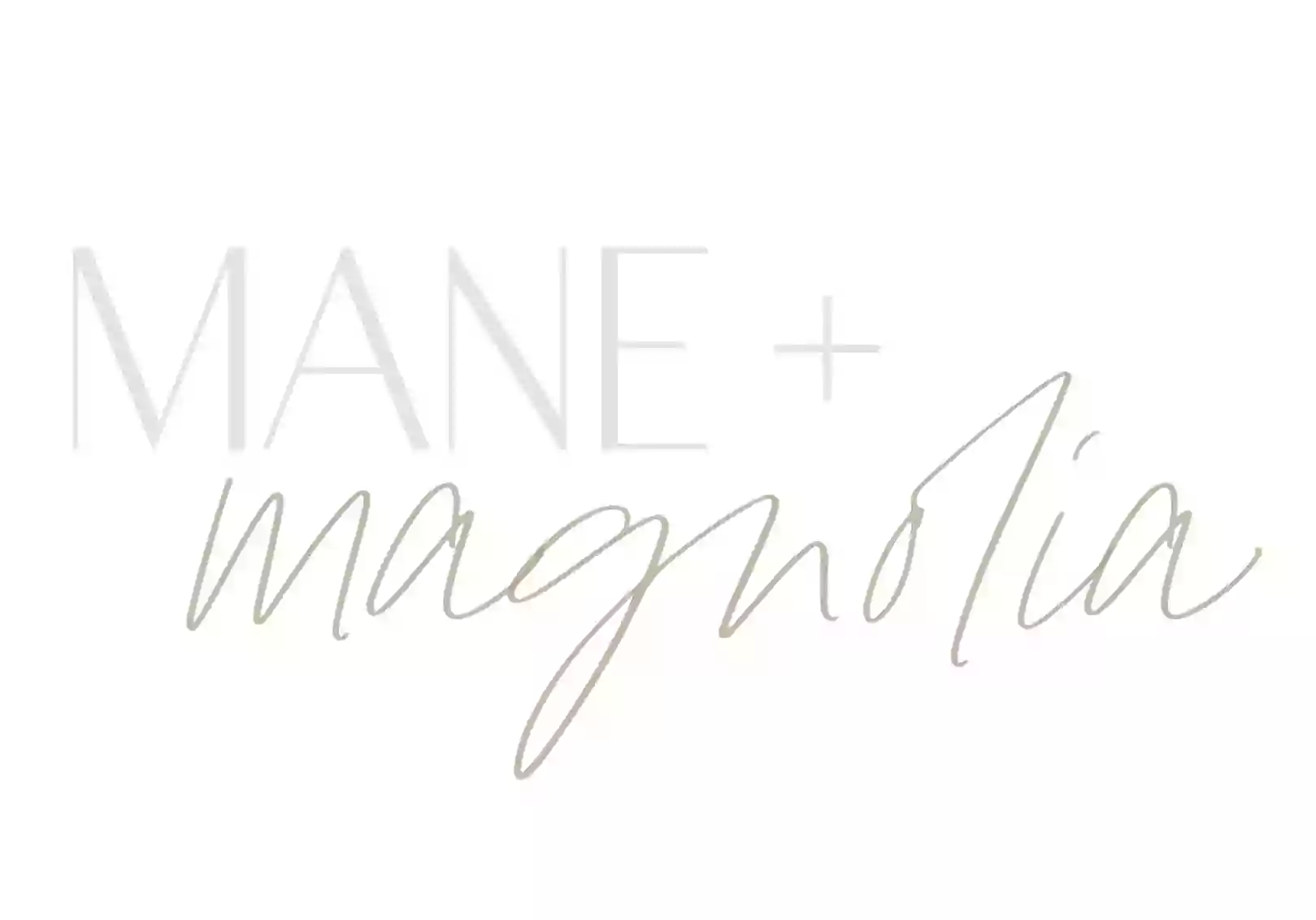 Mane and Magnolia | Low Maintenance Color + Extension Salon | Spartanburg SC