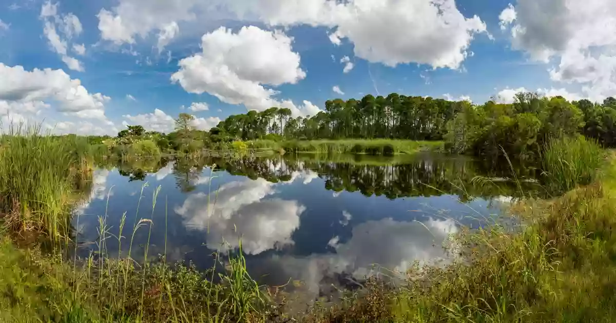 Pinckney Island National Wildlife Refuge Parking