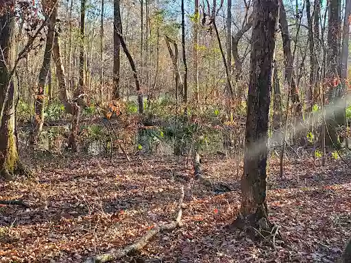 Sawmill Branch Trail - Bacon’s Bridge Trailhead