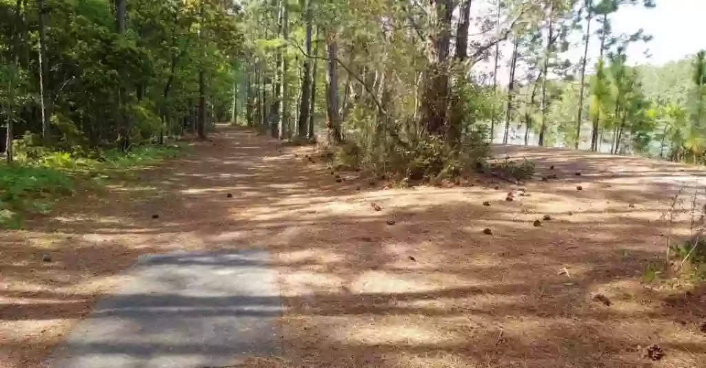 The Sarge Disc Golf Course