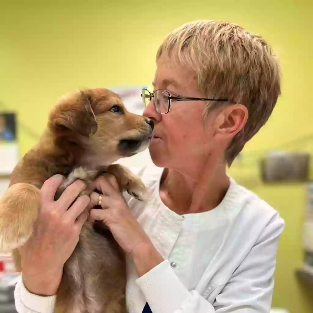 Palmetto Animal League Veterinary Clinic