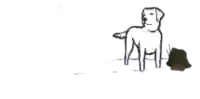 Rocky Creek Veterinary Hospital and Pet Resort