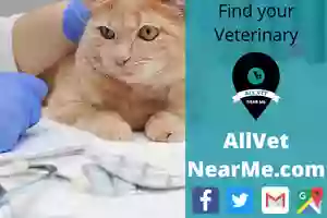 Morrison Veterinary Clinic PC