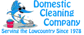 Domestic Cleaning Company