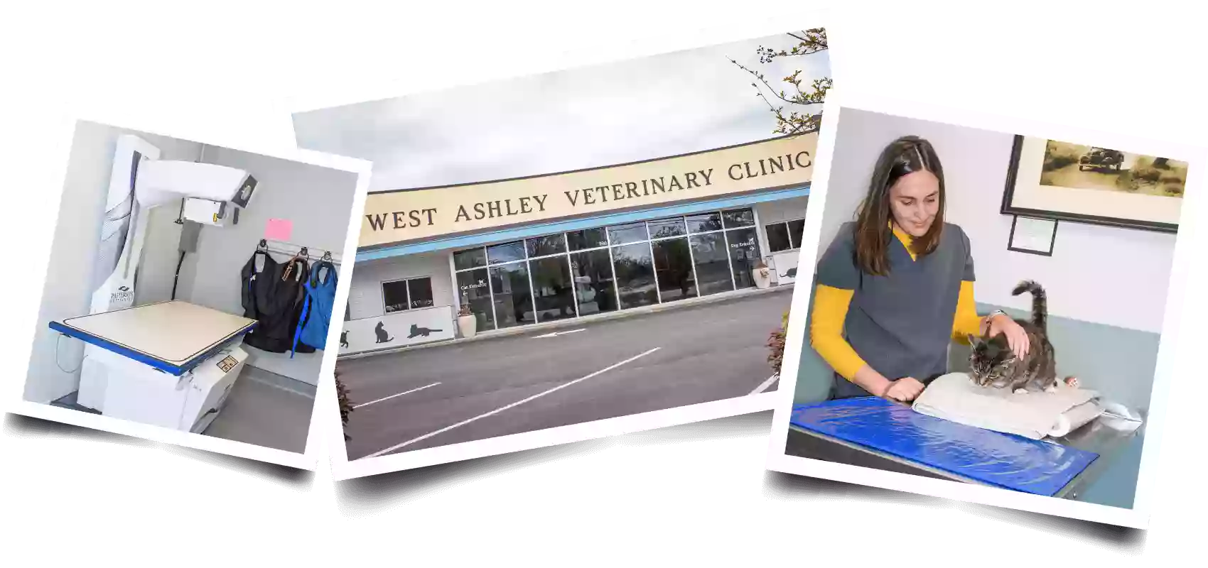 West Ashley Veterinary Clinic