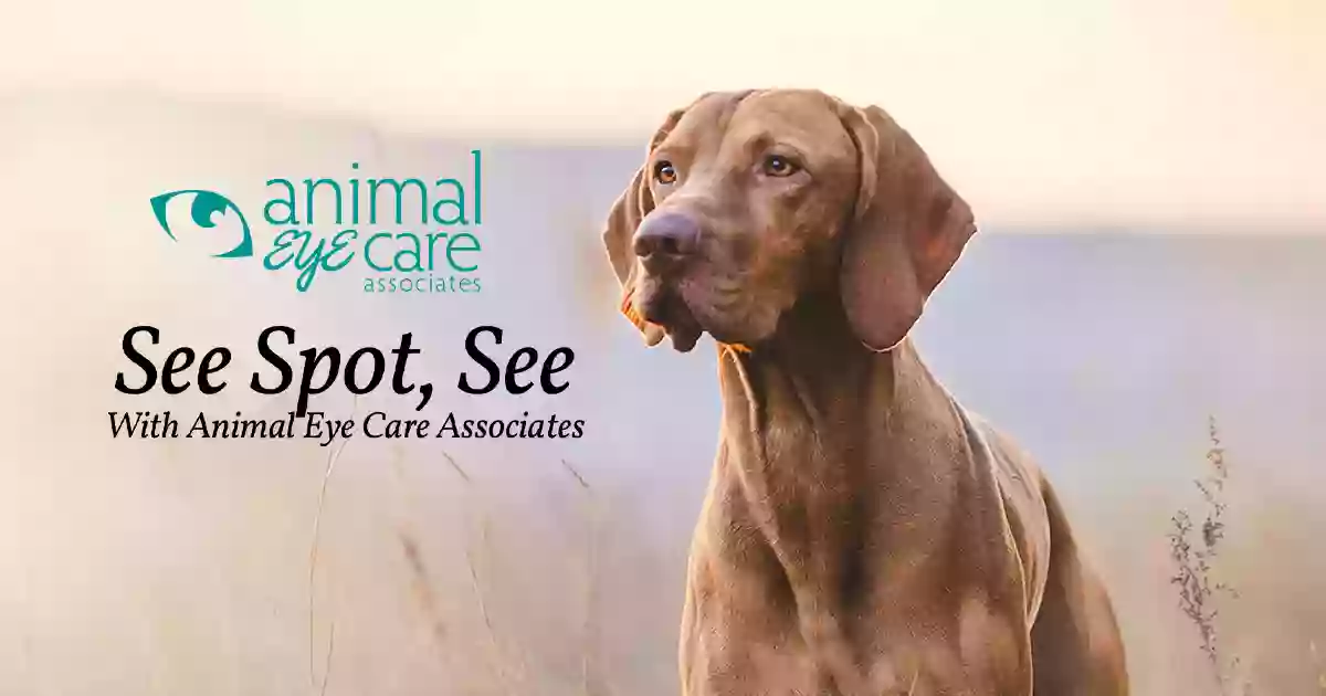 Animal Eye Care of the Lowcountry