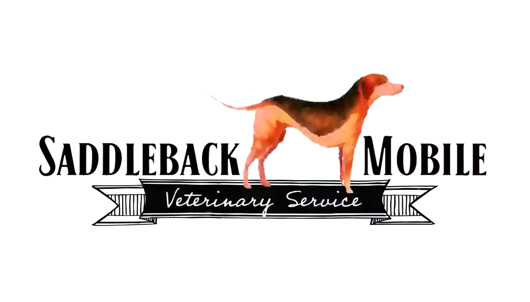 Saddleback Mobile Veterinary Services