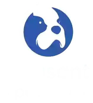 Pleasant Pet Care