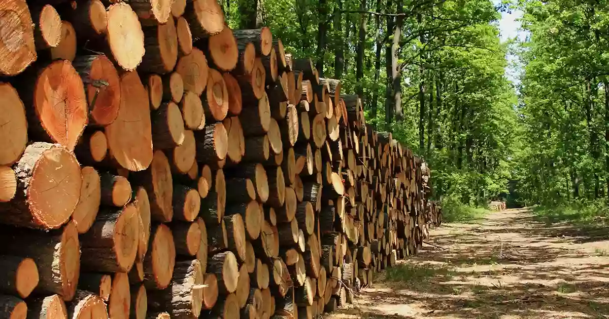 Mid Carolina Timber Company